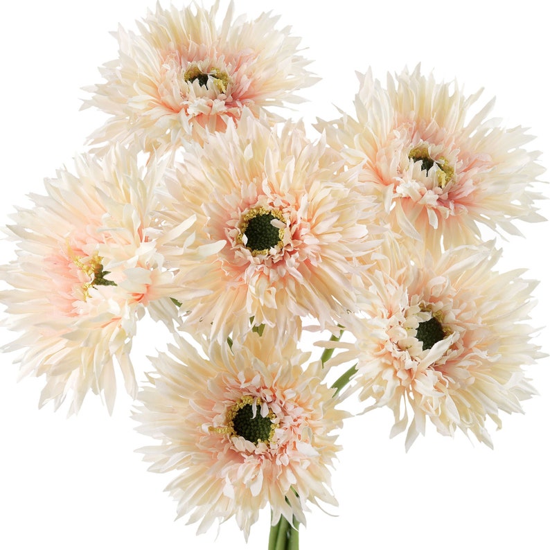 🌼2025 Hot Sale🔥Realistic Artificial Spider Gerbera Daisies Home Decor💐