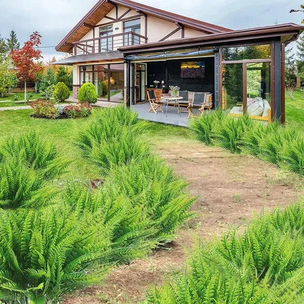 🔥$9.99 On Sale Today Only🌿UV Resistant Lifelike Artificial Boston Fern