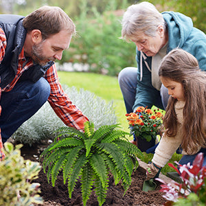 🔥$9.99 On Sale Today Only🌿UV Resistant Lifelike Artificial Boston Fern
