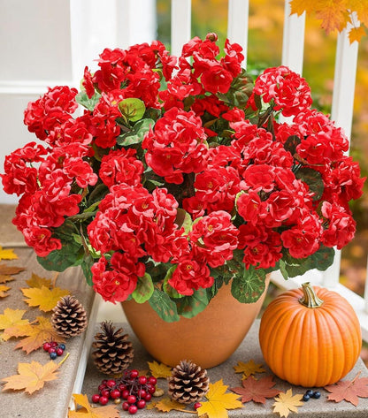🔥Last Day 49% OFF🌼Artificial Geranium Flowers - UV resistant, Waterproof, Windproof