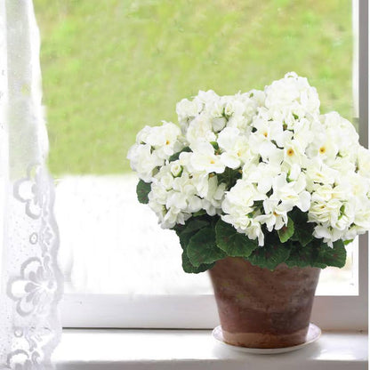 💐2025 Hot Sale✨UV-Resistant Lifelike Artificial Geraniums