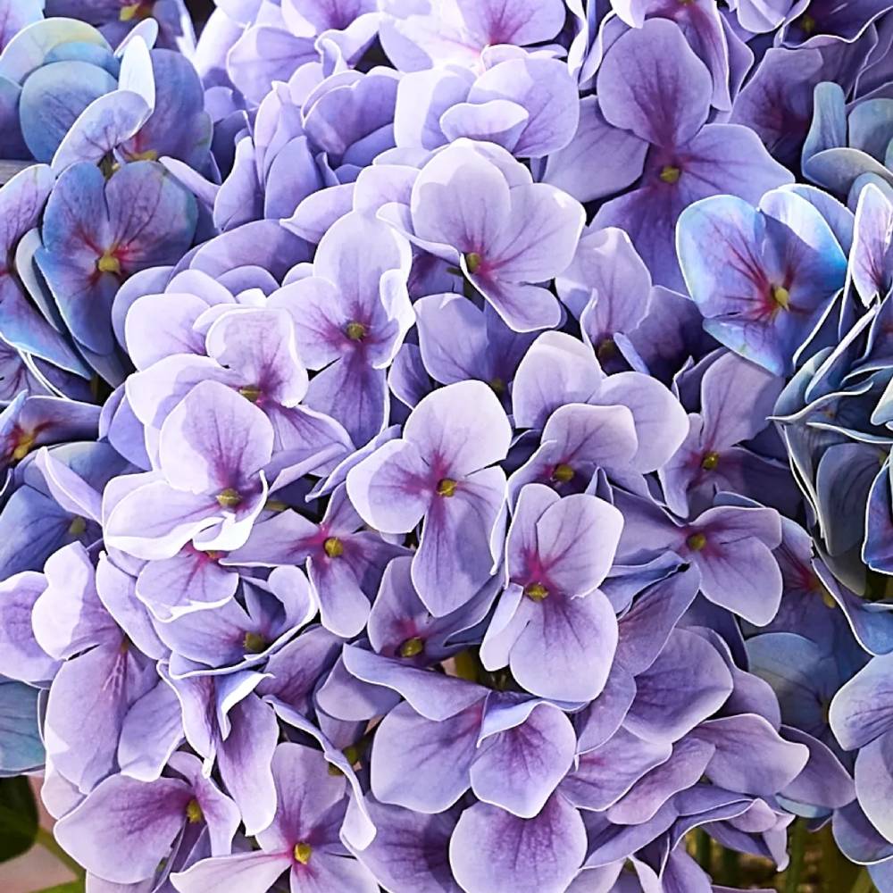 💥Last Day Only $3.99 Each💐Artificial Outdoor Hydrangea Flowers - UV resistant, Waterproof, Windproof