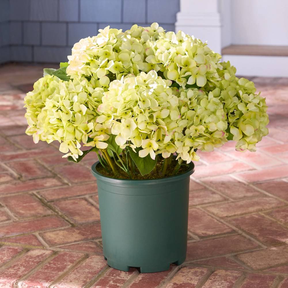 💥Last Day Only $3.99 Each💐Artificial Outdoor Hydrangea Flowers - UV resistant, Waterproof, Windproof