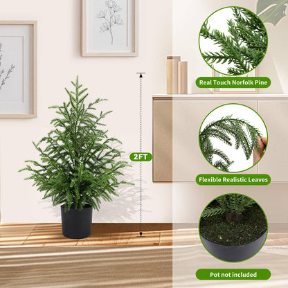 🎄Real Touch Norfolk Pine Topiary Tree - MINI CHRISTMAS TREE