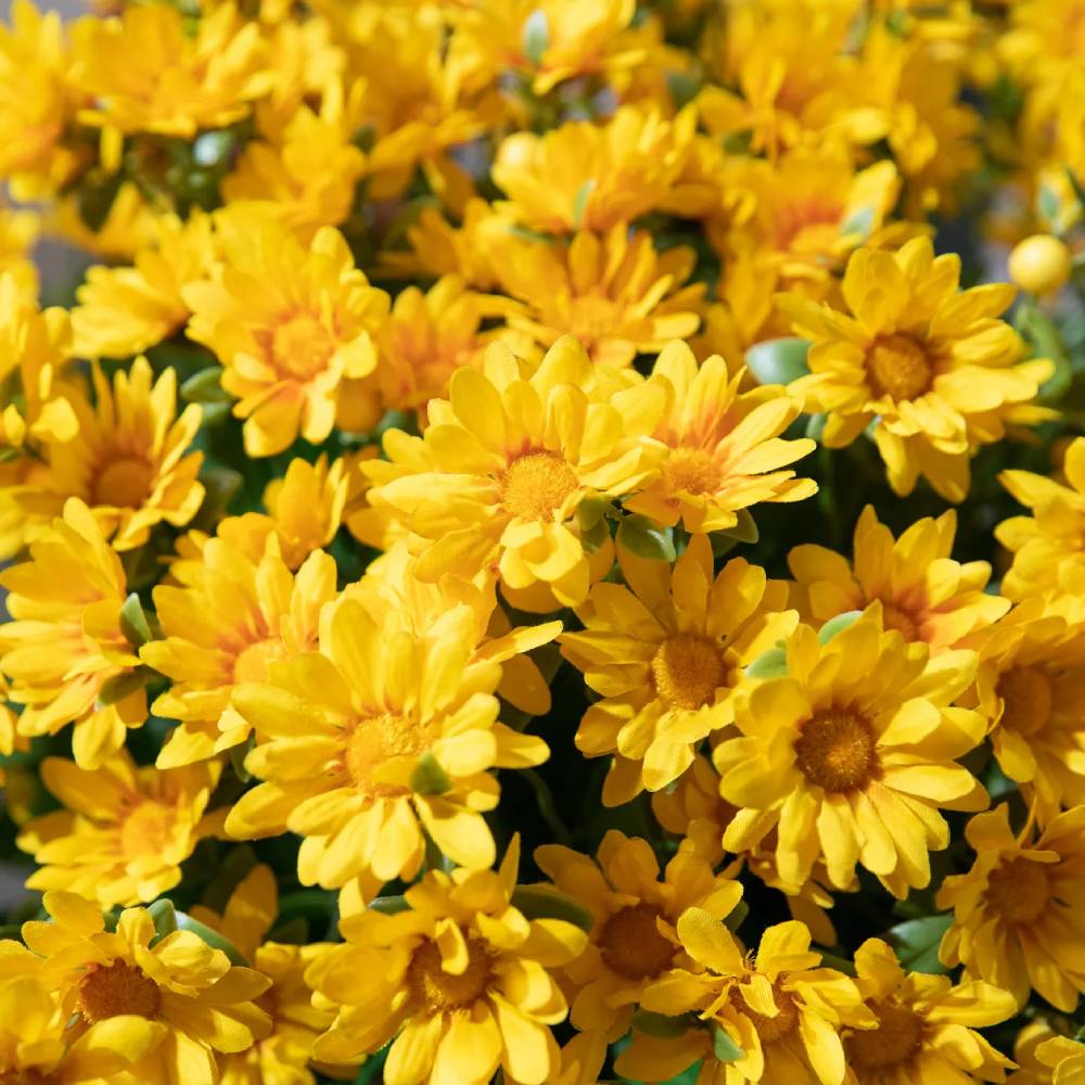 Last Day Each Only $2.99🌼- Artificial Outdoor Sunset Mums Flowers - UV resistant, Waterproof, Windproof