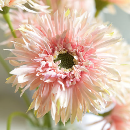 🌼2025 Hot Sale🔥Realistic Artificial Spider Gerbera Daisies Home Decor💐