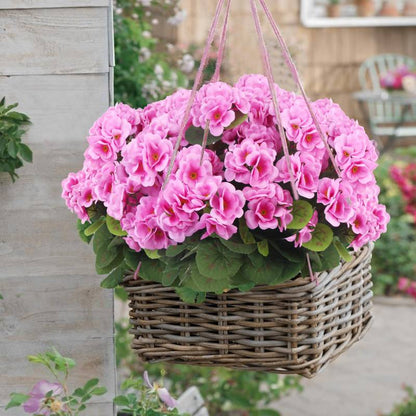💐2025 Hot Sale✨UV-Resistant Lifelike Artificial Geraniums