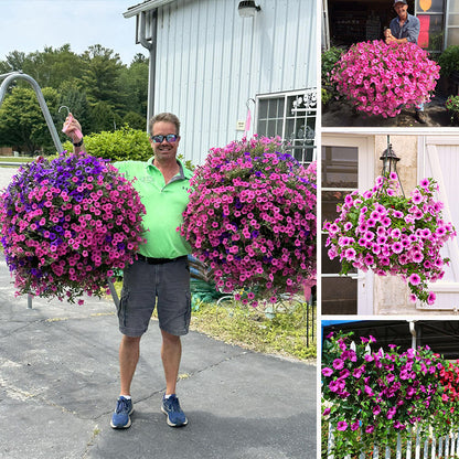 💐2025 Hot Sale✨UV Simulation Artificial Petunias